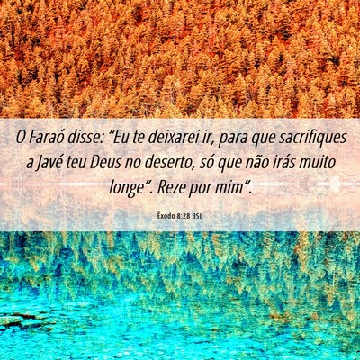Picture 06 - Êxodo 8:28 BSL - O Faraó disse: “Eu te deixarei ir, para que - Bible Verse Picture