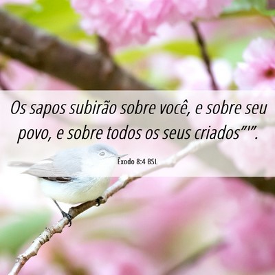 Picture 06 - Êxodo 8:4 BSL - Os sapos subirão sobre você, e sobre seu povo, - Bible Verse Picture