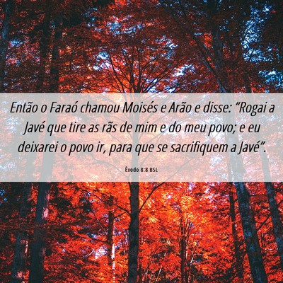 Picture 06 - Êxodo 8:8 BSL - Então o Faraó chamou Moisés e Arão e disse: - Bible Verse Picture