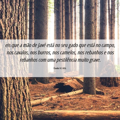 Picture 06 - Êxodo 9:3 BSL - eis que a mão de Javé está no seu gado que - Bible Verse Picture