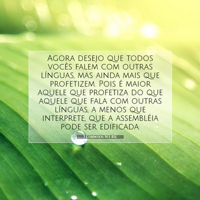 Picture 07 - 1 Coríntios 14:5 BSL - Agora desejo que todos vocês falem com outras - Bible Verse Picture