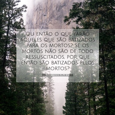 Picture 07 - 1 Coríntios 15:29 BSL - Ou então o que farão aqueles que são batizados - Bible Verse Picture