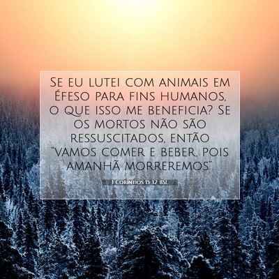 Picture 07 - 1 Coríntios 15:32 BSL - Se eu lutei com animais em Éfeso para fins - Bible Verse Picture