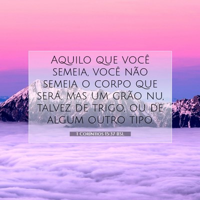 Picture 07 - 1 Coríntios 15:37 BSL - Aquilo que você semeia, você não semeia o - Bible Verse Picture