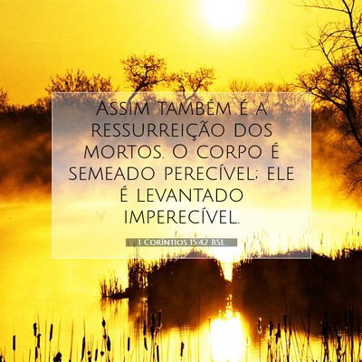 Picture 07 - 1 Coríntios 15:42 BSL - Assim também é a ressurreição dos mortos. O - Bible Verse Picture