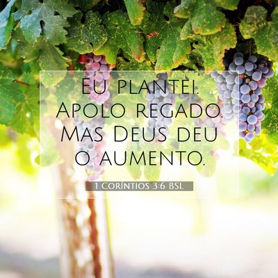 Picture 07 - 1 Coríntios 3:6 BSL - Eu plantei. Apolo regado. Mas Deus deu o - Bible Verse Picture