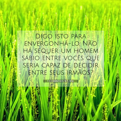 Picture 07 - 1 Coríntios 6:5 BSL - Digo isto para envergonhá-lo. Não há sequer um - Bible Verse Picture