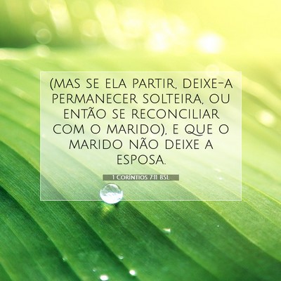 Picture 07 - 1 Coríntios 7:11 BSL - (mas se ela partir, deixe-a permanecer solteira, - Bible Verse Picture