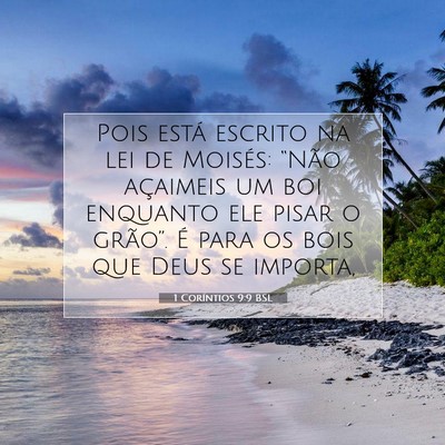 Picture 07 - 1 Coríntios 9:9 BSL - Pois está escrito na lei de Moisés: “Não - Bible Verse Picture
