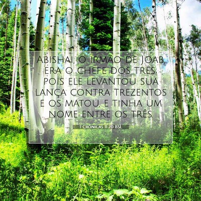 Picture 07 - 1 Crônicas 11:20 BSL - Abishai, o irmão de Joab, era o chefe dos três; - Bible Verse Picture