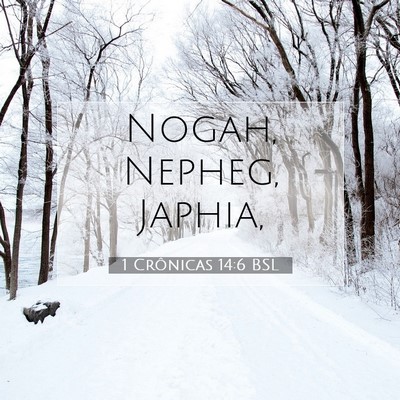 Picture 07 - 1 Crônicas 14:6 BSL - Nogah, Nepheg, - Bible Verse Picture