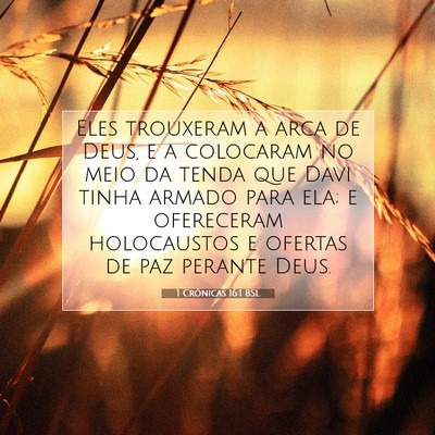 Picture 07 - 1 Crônicas 16:1 BSL - Eles trouxeram a arca de Deus, e a colocaram no - Bible Verse Picture