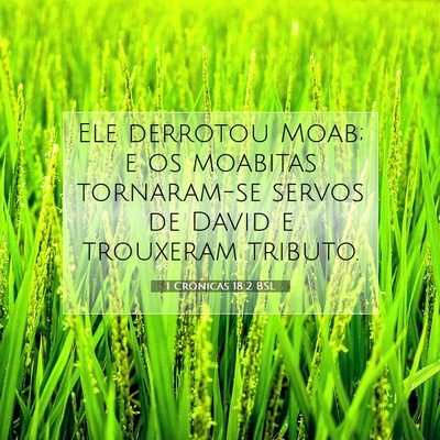 Picture 07 - 1 Crônicas 18:2 BSL - Ele derrotou Moab; e os moabitas tornaram-se - Bible Verse Picture