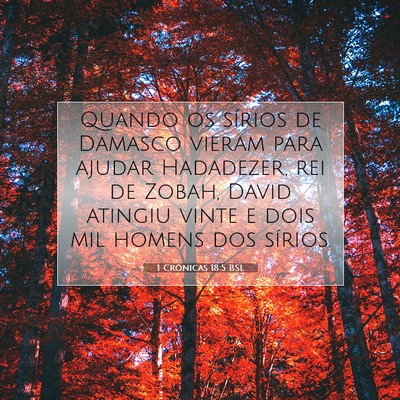 Picture 07 - 1 Crônicas 18:5 BSL - Quando os sírios de Damasco vieram para ajudar - Bible Verse Picture