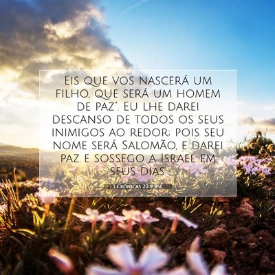 Picture 07 - 1 Crônicas 22:9 BSL - Eis que vos nascerá um filho, que será um homem - Bible Verse Picture