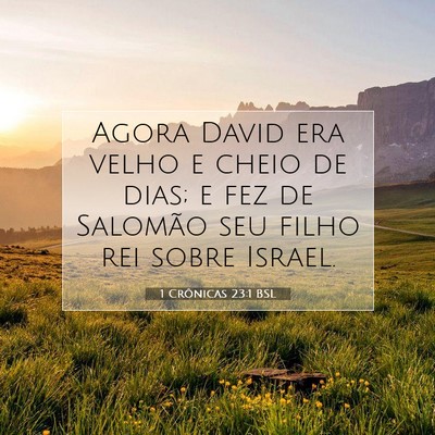 Picture 07 - 1 Crônicas 23:1 BSL - Agora David era velho e cheio de dias; e fez de - Bible Verse Picture