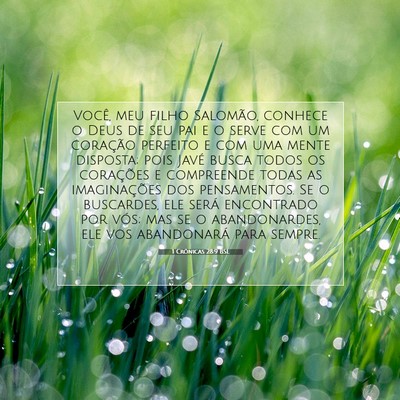 Picture 07 - 1 Crônicas 28:9 BSL - Você, meu filho Salomão, conhece o Deus de seu - Bible Verse Picture