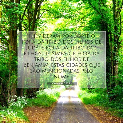 Picture 07 - 1 Crônicas 6:65 BSL - They deram por sorteio fora da tribo dos filhos - Bible Verse Picture