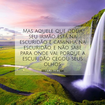 Picture 07 - 1 João 2:11 BSL - Mas aquele que odeia seu irmão está na - Bible Verse Picture