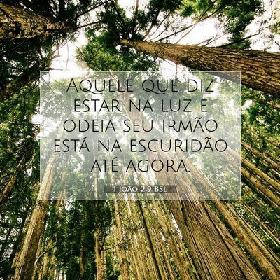 Picture 07 - 1 João 2:9 BSL - Aquele que diz estar na luz e odeia seu irmão - Bible Verse Picture