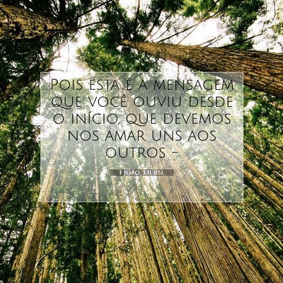 Picture 07 - 1 João 3:11 BSL - Pois esta é a mensagem que você ouviu desde o - Bible Verse Picture