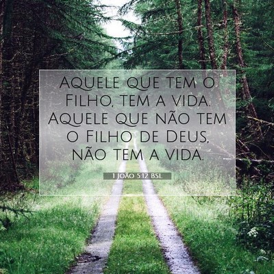 Picture 07 - 1 João 5:12 BSL - Aquele que tem o Filho, tem a vida. Aquele que - Bible Verse Picture