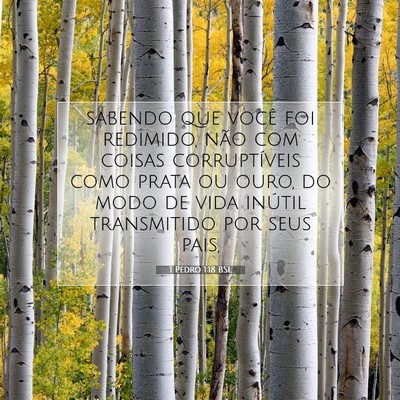 Picture 07 - 1 Pedro 1:18 BSL - sabendo que você foi redimido, não com coisas - Bible Verse Picture