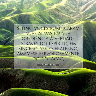 Picture 07 - 1 Pedro 1:22 BSL - Seeing vocês purificaram suas almas em sua - Bible Verse Picture