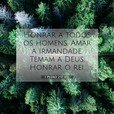 Picture 07 - 1 Pedro 2:17 BSL - Honrar a todos os homens. Amar a irmandade. Temam - Bible Verse Picture