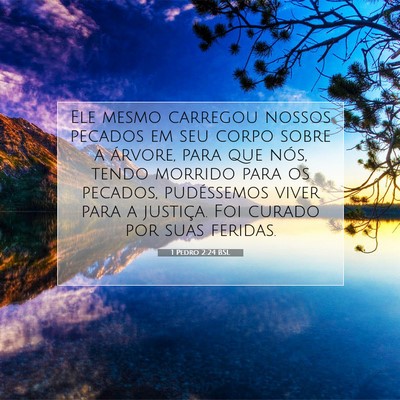 Picture 07 - 1 Pedro 2:24 BSL - Ele mesmo carregou nossos pecados em seu corpo - Bible Verse Picture