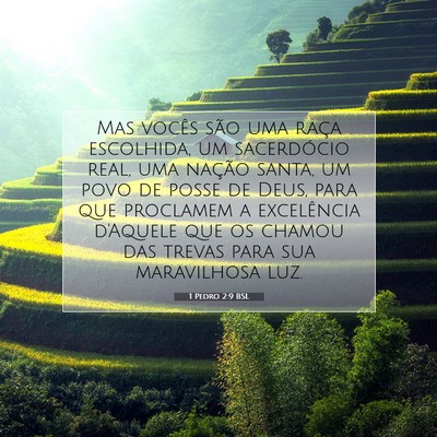Picture 07 - 1 Pedro 2:9 BSL - Mas vocês são uma raça escolhida, um - Bible Verse Picture