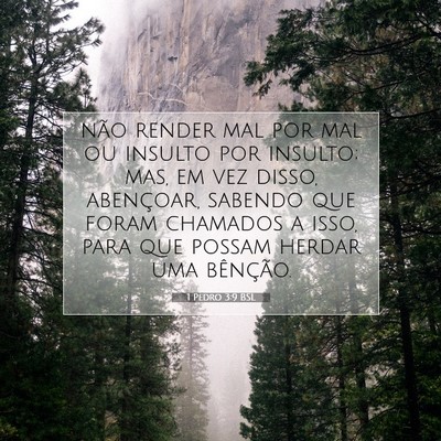 Picture 07 - 1 Pedro 3:9 BSL - não render mal por mal ou insulto por insulto; - Bible Verse Picture
