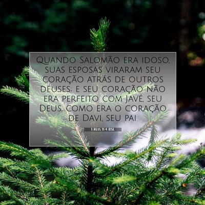 Picture 07 - 1 Reis 11:4 BSL - Quando Salomão era idoso, suas esposas viraram - Bible Verse Picture