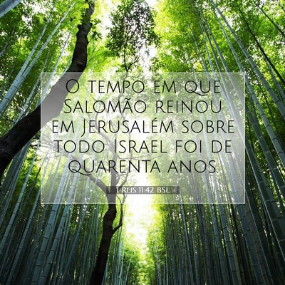 Picture 07 - 1 Reis 11:42 BSL - O tempo em que Salomão reinou em Jerusalém - Bible Verse Picture