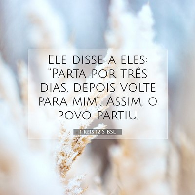 Picture 07 - 1 Reis 12:5 BSL - Ele disse a eles: “Parta por três dias, depois - Bible Verse Picture