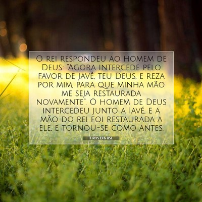 Picture 07 - 1 Reis 13:6 BSL - O rei respondeu ao homem de Deus: “Agora - Bible Verse Picture