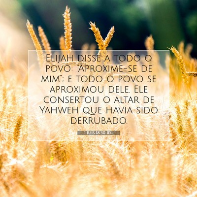Picture 07 - 1 Reis 18:30 BSL - Elijah disse a todo o povo: “Aproxime-se de - Bible Verse Picture