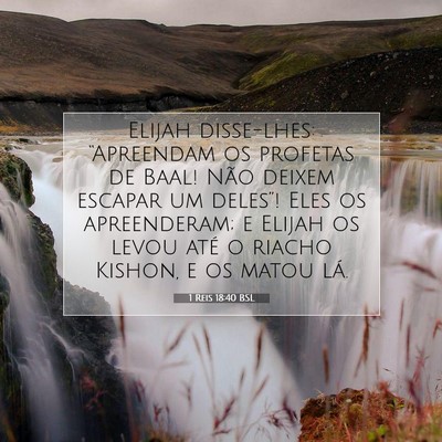Picture 07 - 1 Reis 18:40 BSL - Elijah disse-lhes: “Apreendam os profetas de - Bible Verse Picture
