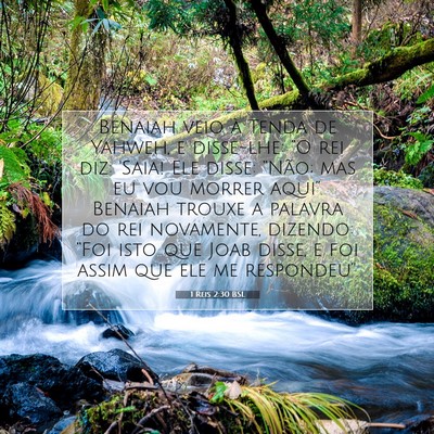 Picture 07 - 1 Reis 2:30 BSL - Benaiah veio à Tenda de Yahweh, e disse-lhe: - Bible Verse Picture