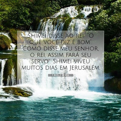 Picture 07 - 1 Reis 2:38 BSL - Shimei disse ao rei: “O que você diz é - Bible Verse Picture