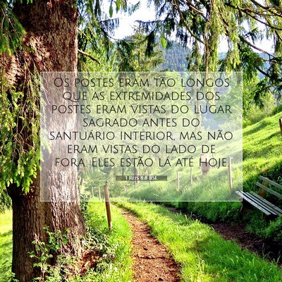 Picture 07 - 1 Reis 8:8 BSL - Os postes eram tão longos que as extremidades - Bible Verse Picture