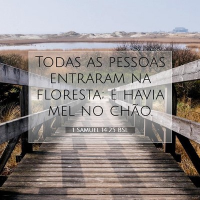 Picture 07 - 1 Samuel 14:25 BSL - Todas as pessoas entraram na floresta; e havia - Bible Verse Picture