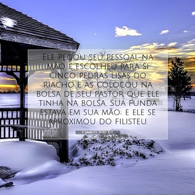 Picture 07 - 1 Samuel 17:40 BSL - Ele pegou seu pessoal na mão e escolheu para si - Bible Verse Picture