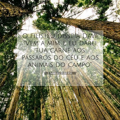 Picture 07 - 1 Samuel 17:44 BSL - O filisteu disse a Davi: “Vem a mim, e eu darei - Bible Verse Picture