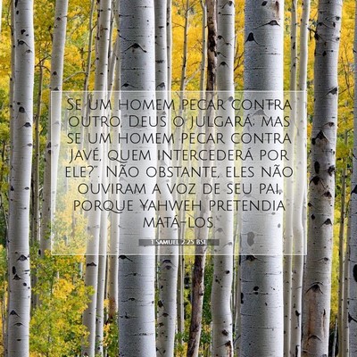 Picture 07 - 1 Samuel 2:25 BSL - Se um homem pecar contra outro, Deus o julgará; - Bible Verse Picture