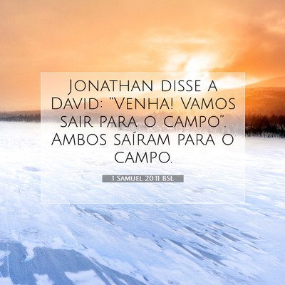 Picture 07 - 1 Samuel 20:11 BSL - Jonathan disse a David: “Venha! Vamos sair para - Bible Verse Picture