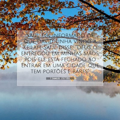 Picture 07 - 1 Samuel 23:7 BSL - Saul foi informado de que David tinha vindo a - Bible Verse Picture