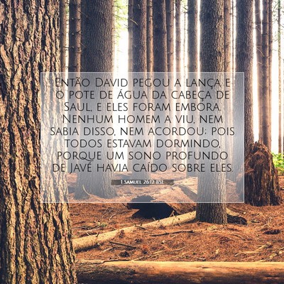 Picture 07 - 1 Samuel 26:12 BSL - Então David pegou a lança e o pote de água da - Bible Verse Picture