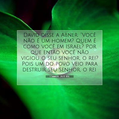 Picture 07 - 1 Samuel 26:15 BSL - David disse a Abner: “Você não é um homem? - Bible Verse Picture