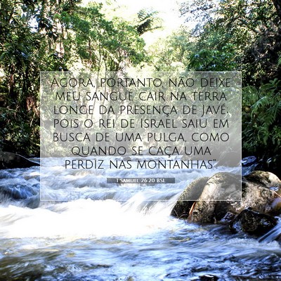 Picture 07 - 1 Samuel 26:20 BSL - Agora, portanto, não deixe meu sangue cair na - Bible Verse Picture